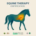 Equine Therapy