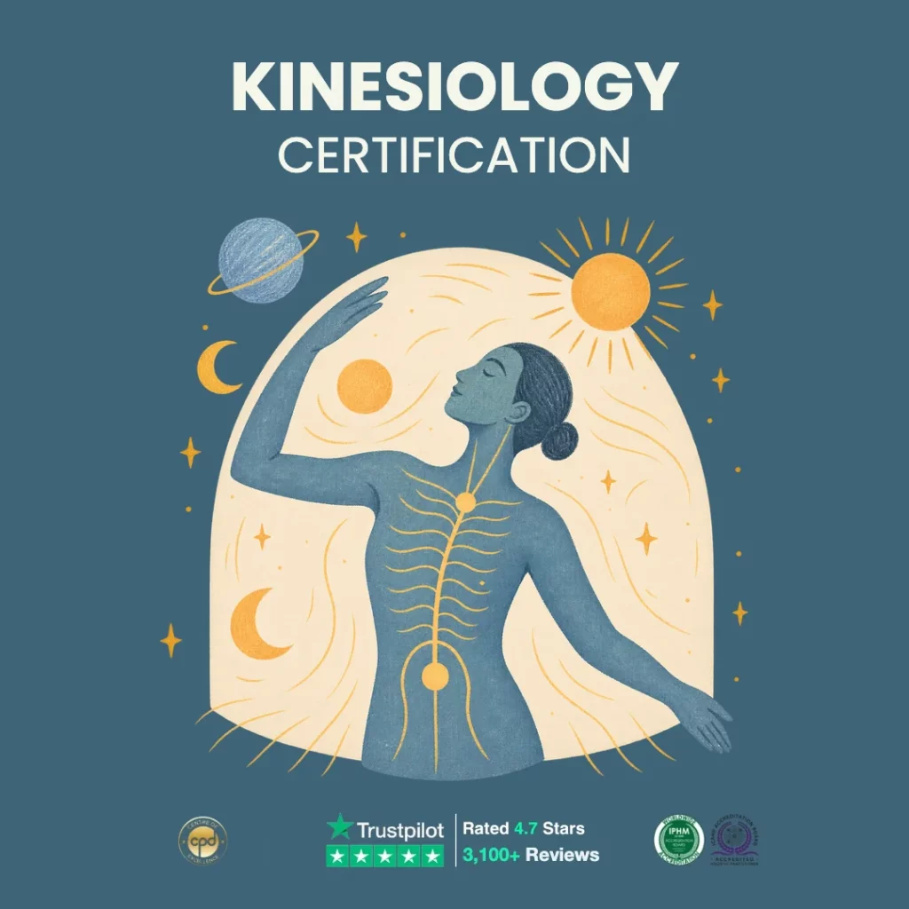 Kinesiology Practitioner Certification — Accredited Online Course