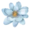 blue-flower.webp