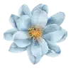blue-flower-2.webp